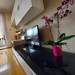 Vira * ماكارسكا